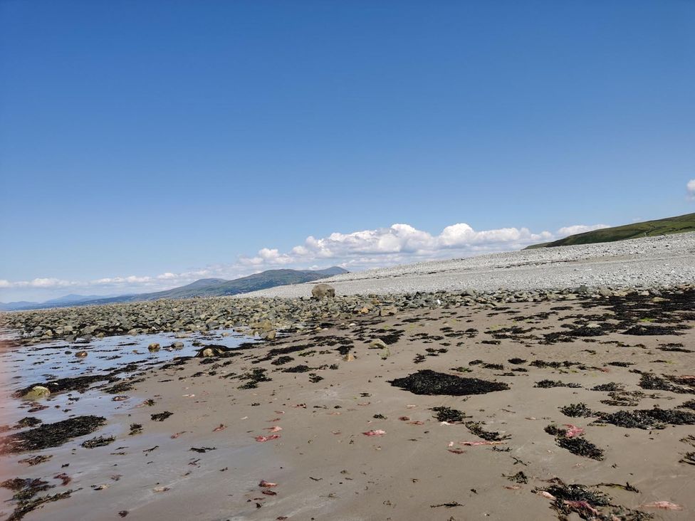 A beach with rocks and seaweed at Snowdonia Sunbeach Holiday Sea and Mountain view in Llwyngwril