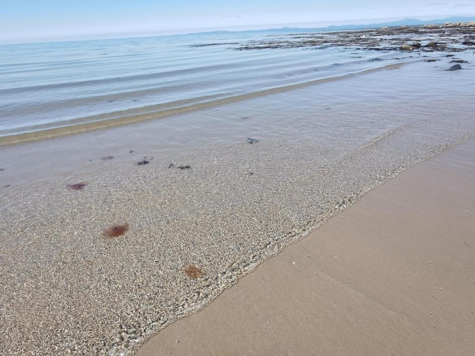 A beach with sand and sea at Snowdonia Sunbeach Holiday Sea and Mountain view in Llwyngwril