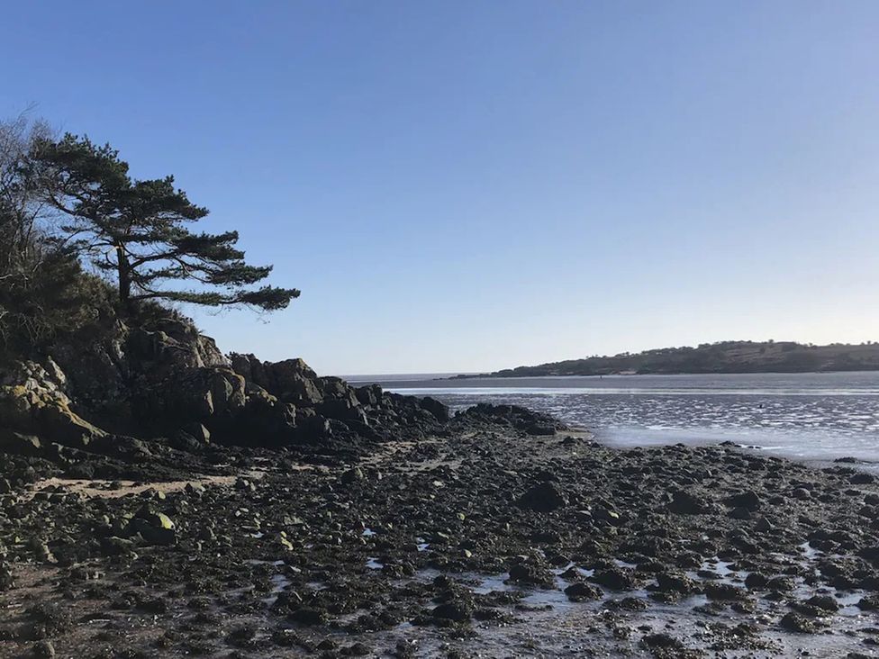 A shoreline with rocks and a tree near the water at Holly Blue - Cosy wooden lodge, Kippford