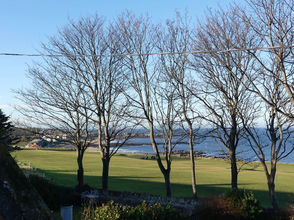 A view of trees and ocean from a garden at Charming Cottage in North Berwick