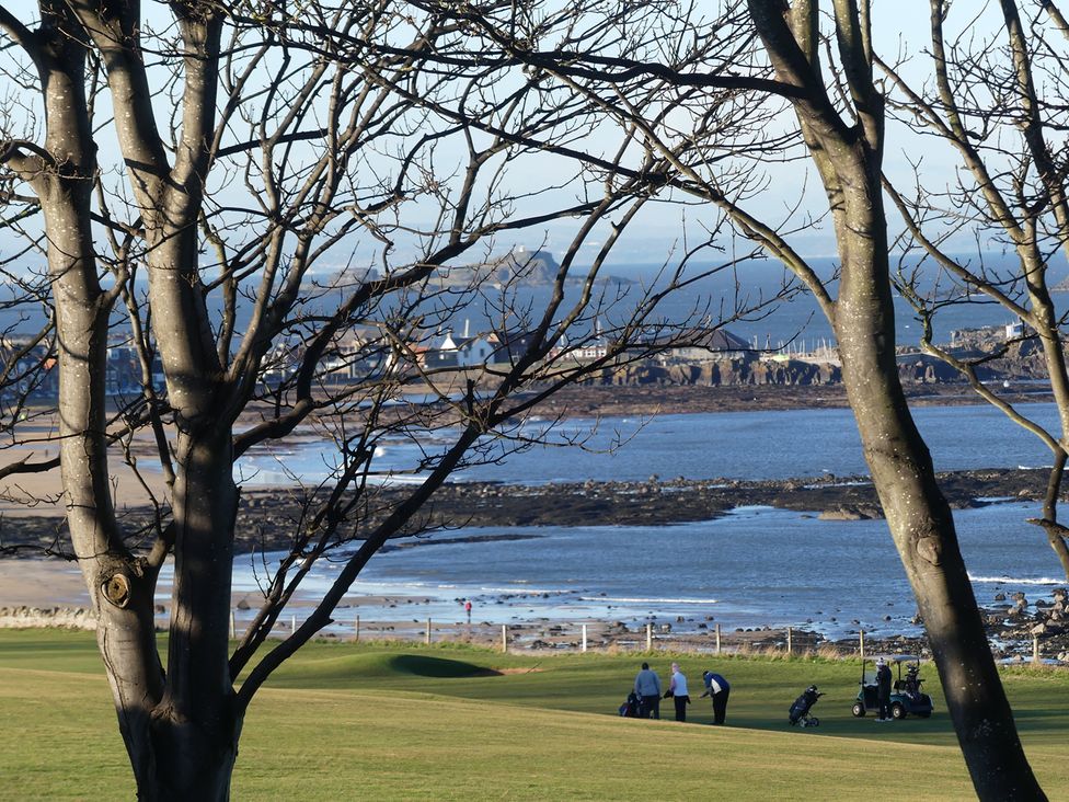 A view of golfers on a green with trees and the sea in the background at Charming Cottage in North Berwick