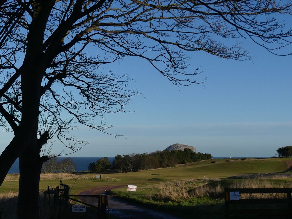 A view of a golf course and ocean with a tree at Charming Cottage in North Berwick