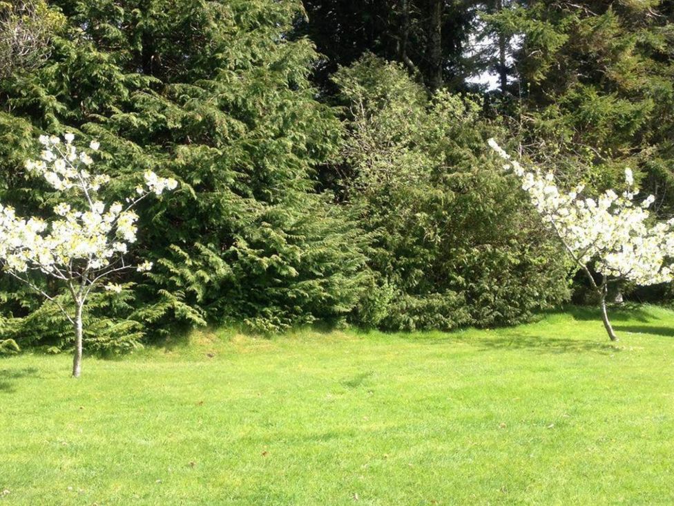 A garden with flowering trees and green grass at Apartment Sleeps 2 with Parking, Pets Welcome in Watermillock near Pooley Bridge