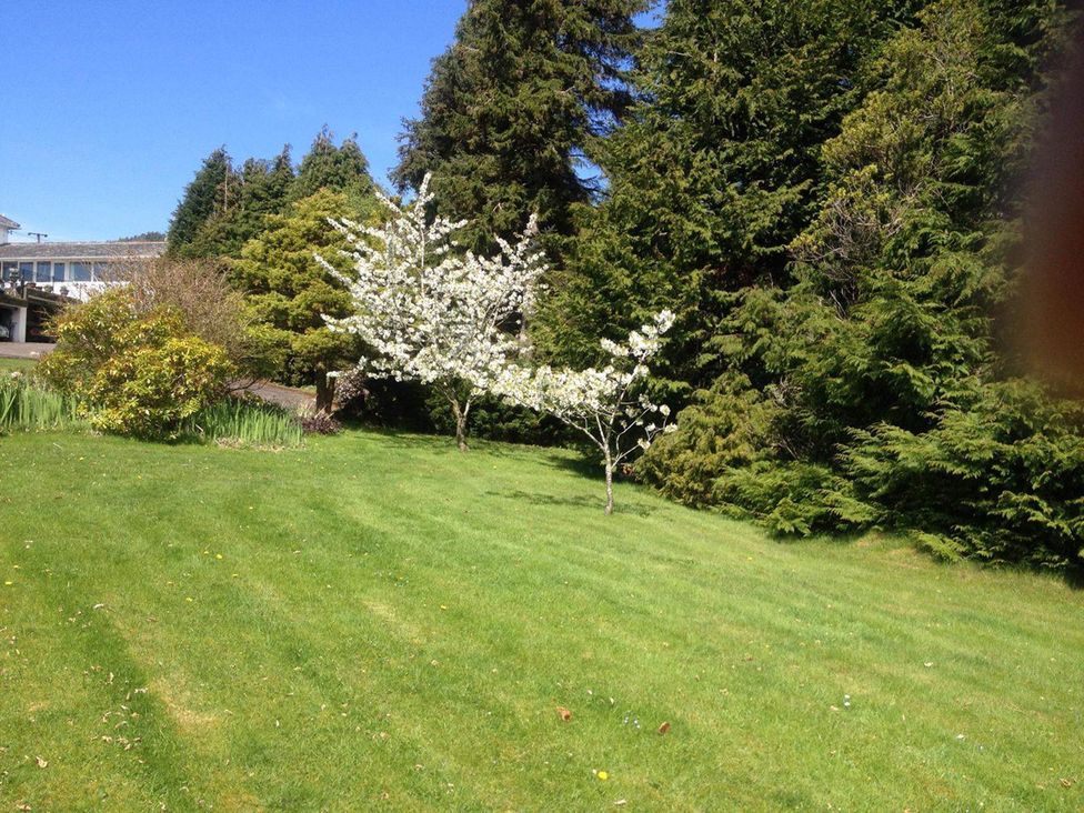 A garden with trees and flowers at Apartment Sleeps 2 with Parking, Pets Welcome in Watermillock near Pooley Bridge