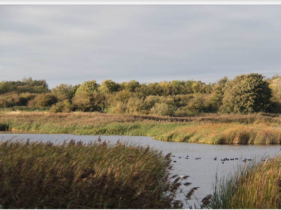 A landscape with water and trees at Caravan Sleeps 5 - Decking, Parking, Pet Friendly, Blackpool