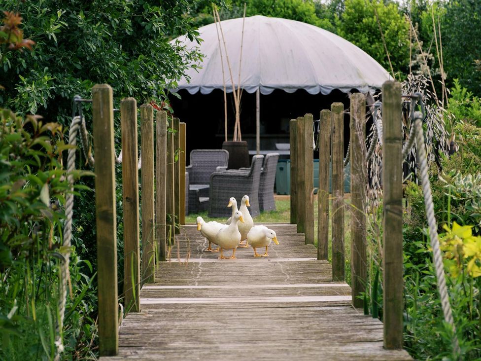 A garden with a wooden pathway and ducks at Shepherd's Hut- Hot Tub- Wellness Spa- Wood Burner Nottingham