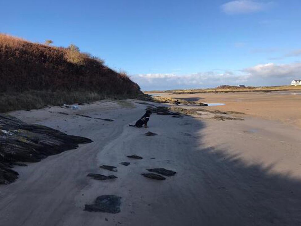 A beach with sand and rocks with a dog walking at Chalet Sleeps 4 Near Cymyran Beach, Caergeiliog