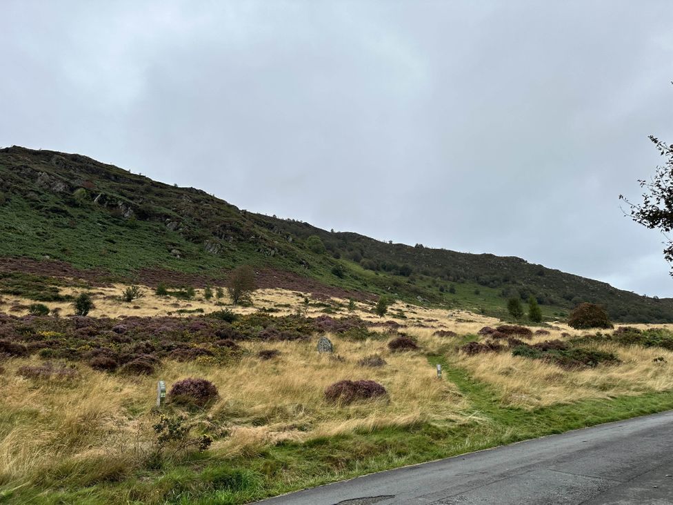 A hill with grass and a path next to a road in an outdoor setting