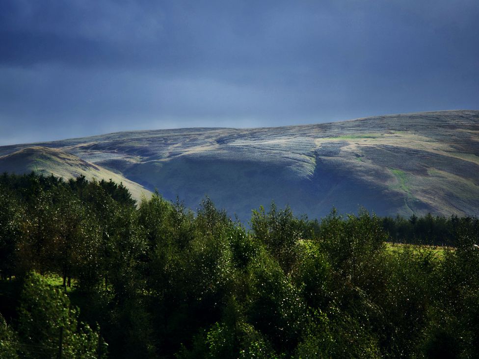 View of hills and trees at a landscape near Edinburgh