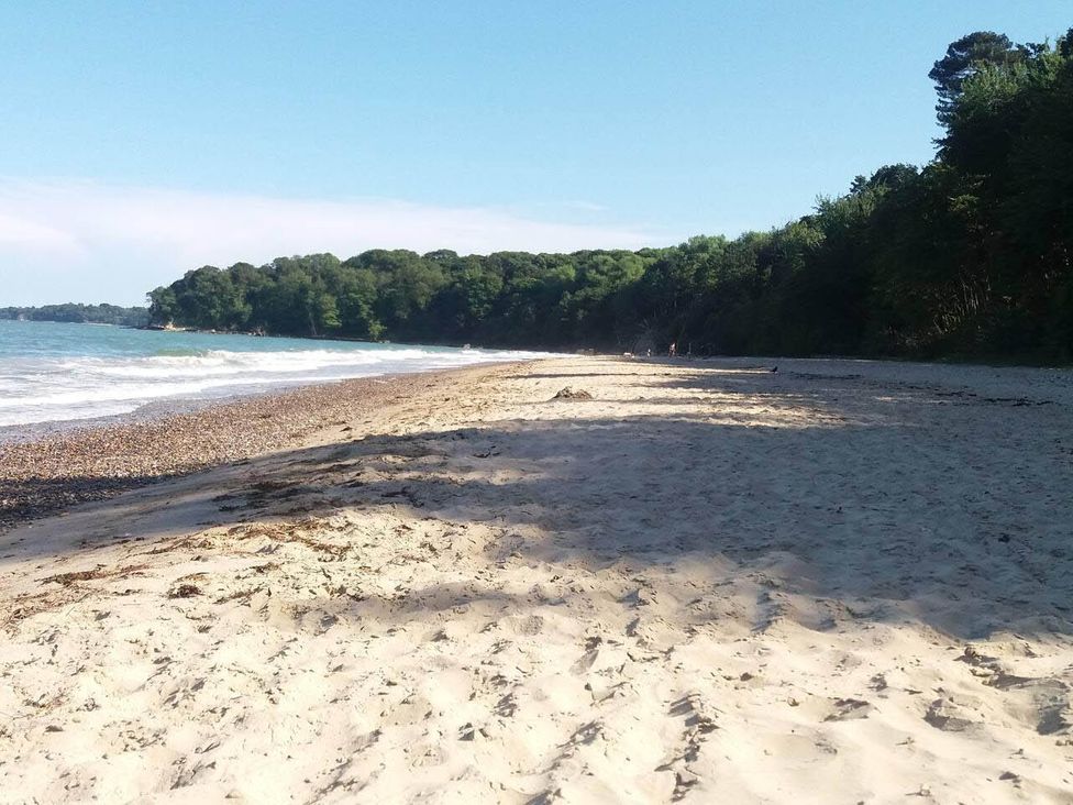 A beach with sand and trees at an unspecified location