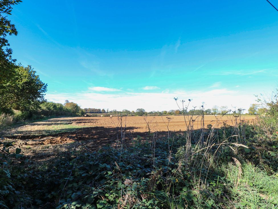 A field with trees and bushes at Corner Barn North Burlingham near Blofield