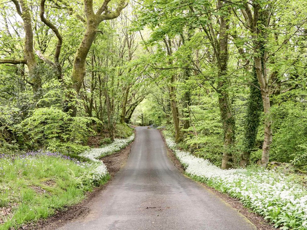 A road surrounded by trees and flowers at Muddy Boots – Scarpa Kirkby Stephen