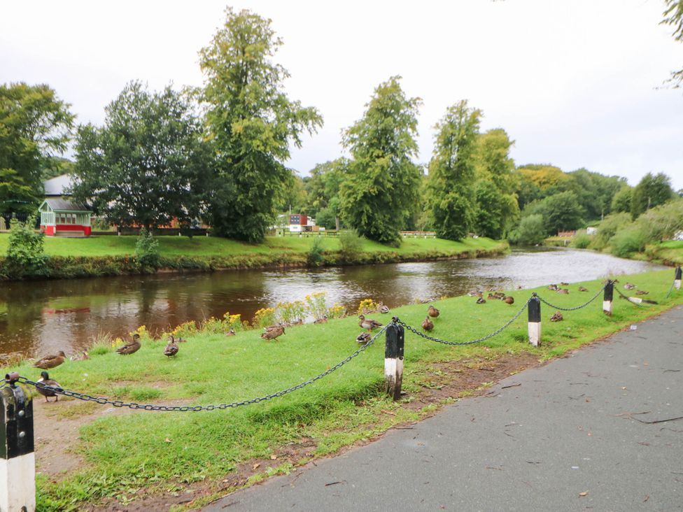 A river with ducks and trees along the bank at Sands Green in Appleby-In-Westmorland