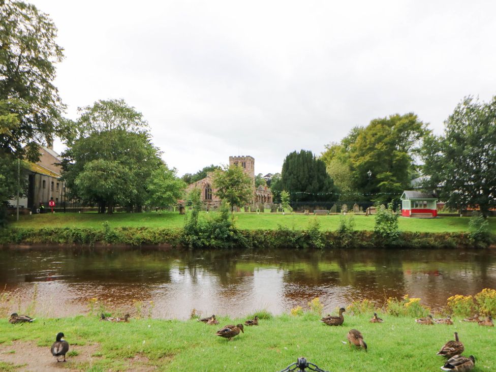 A river with ducks and greenery at Sands Green in Appleby-In-Westmorland