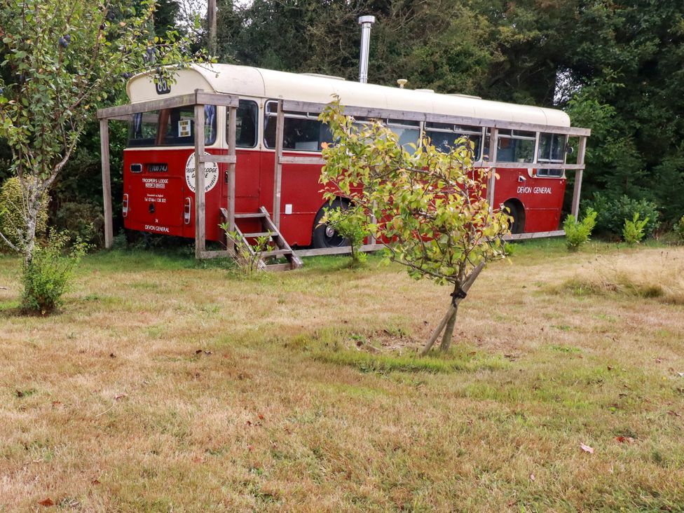 A red bus in a grassy area beside trees at Honey Bee Bus in Menheniot