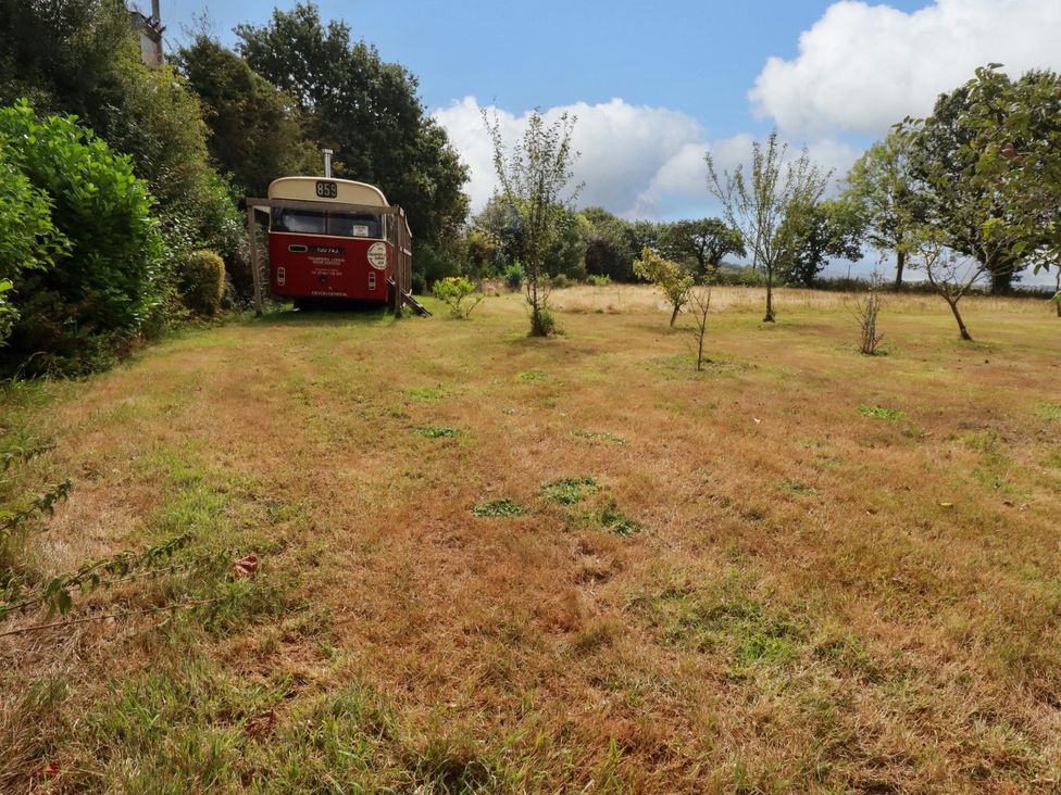 A bus parked on grass with trees in the background at Honey Bee Bus in Menheniot