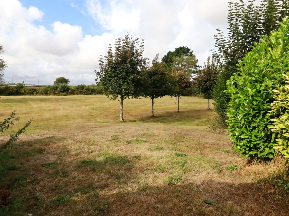 A garden with trees and grass at Honey Bee Bus in Menheniot