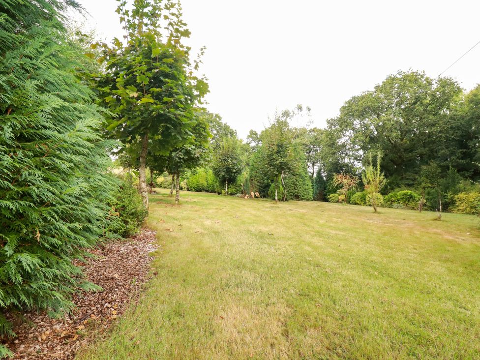 A garden with trees and grass at Honey Bee Bus Menheniot