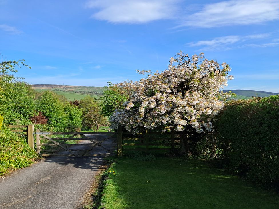 A view of a gate leading to a path with a tree at Castleys Mount in Skipton