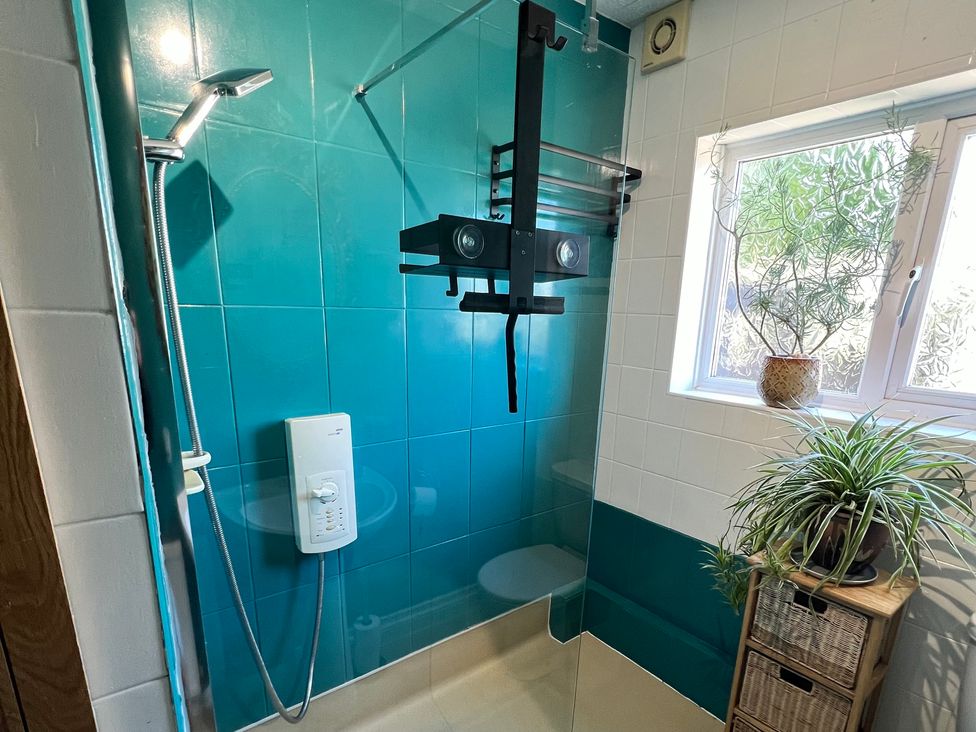 A bathroom with a shower and plants at Ty Marlyn in St Davids