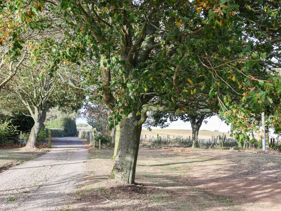 A pathway surrounded by trees at Tawny Cottage in Scarborough