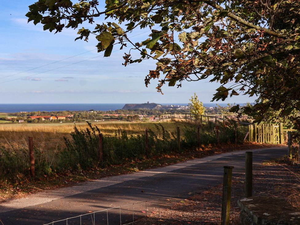 A view of hills and the sea from a path at Tawny Cottage in Scarborough