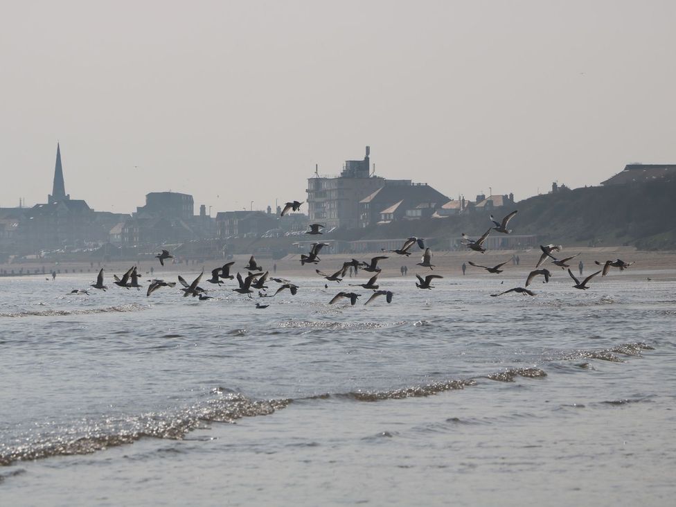 A group of birds flying over water near the beach at Ryburn Lodge in Bridlington