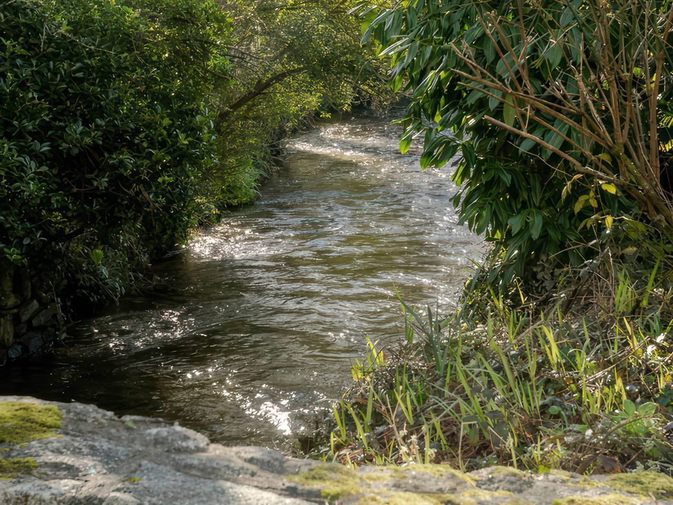 A flowing river with plants and trees at Rose Cottage in Gweek