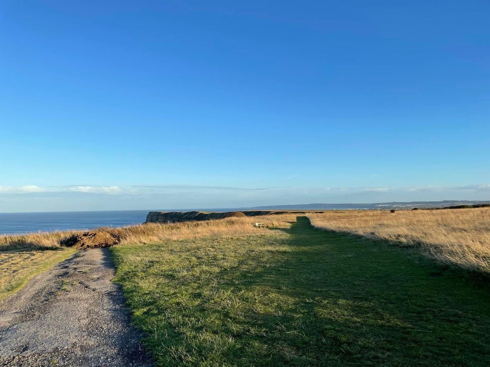 An outdoor view of grassland leading to the ocean at Blue Dolphin Holiday Home in Gristhorpe