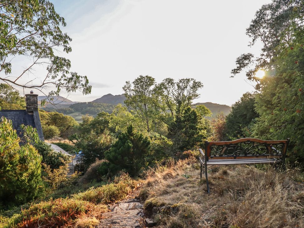 A garden with a bench and trees overlooking mountains at Y Cwtch in Dolgellau