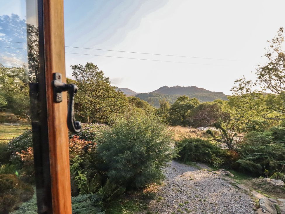 A view from a window showing trees and a mountain at Waen Fechan Dolgellau