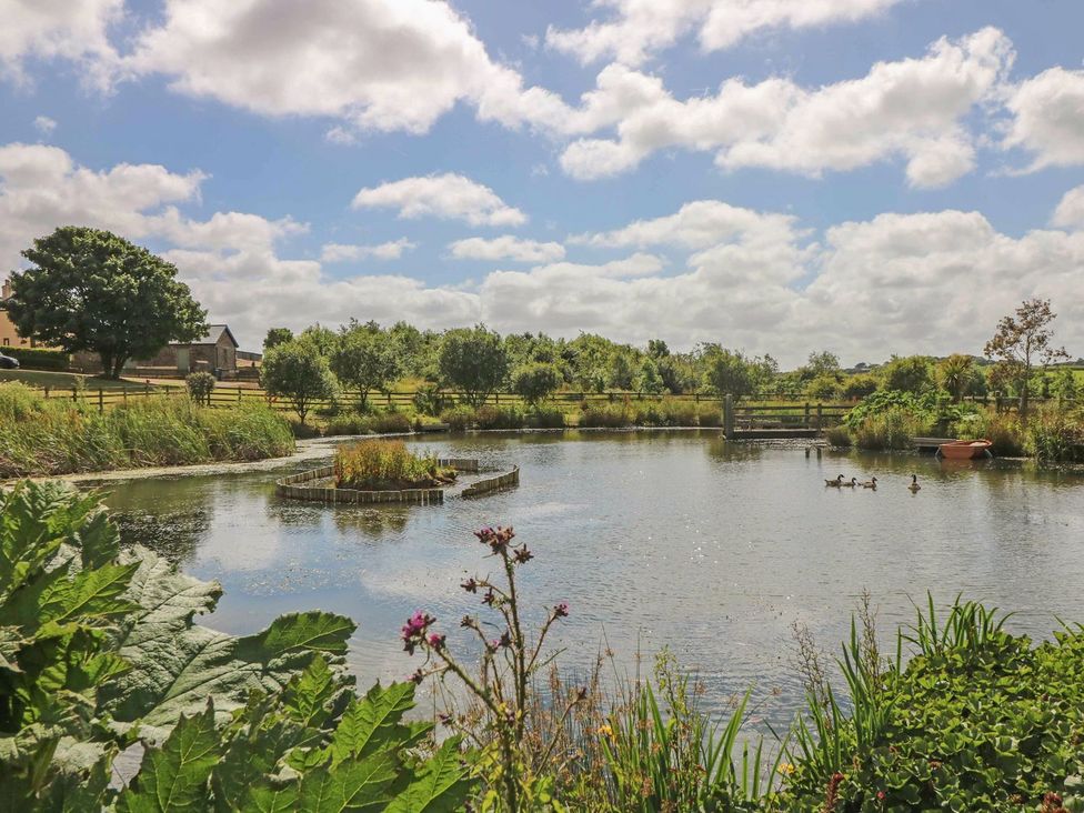 A pond with ducks and an island at Beech Cottage in Truro
