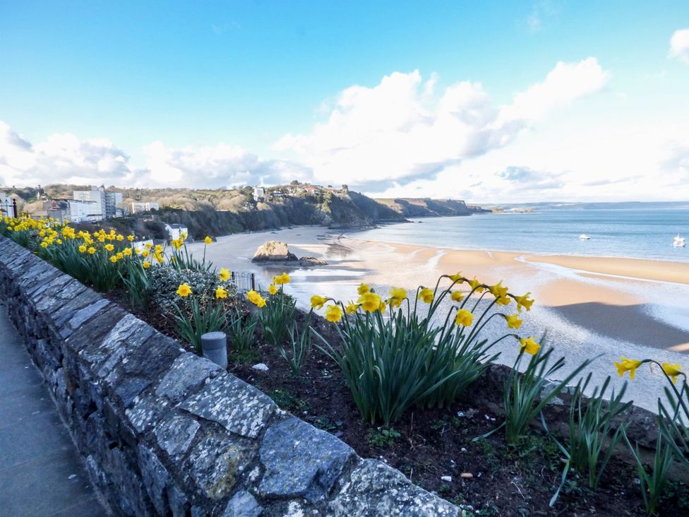 A view of a beach with daffodils along the path at Basement Apartment in Tenby