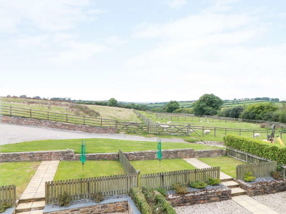 An outdoor area with grass and sheep at Hawthorn Cottage in Truro
