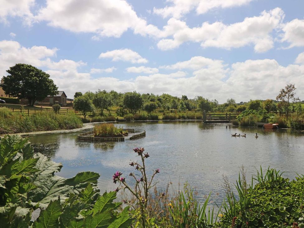 A pond with ducks and surrounding greenery at Elm Cottage in Truro