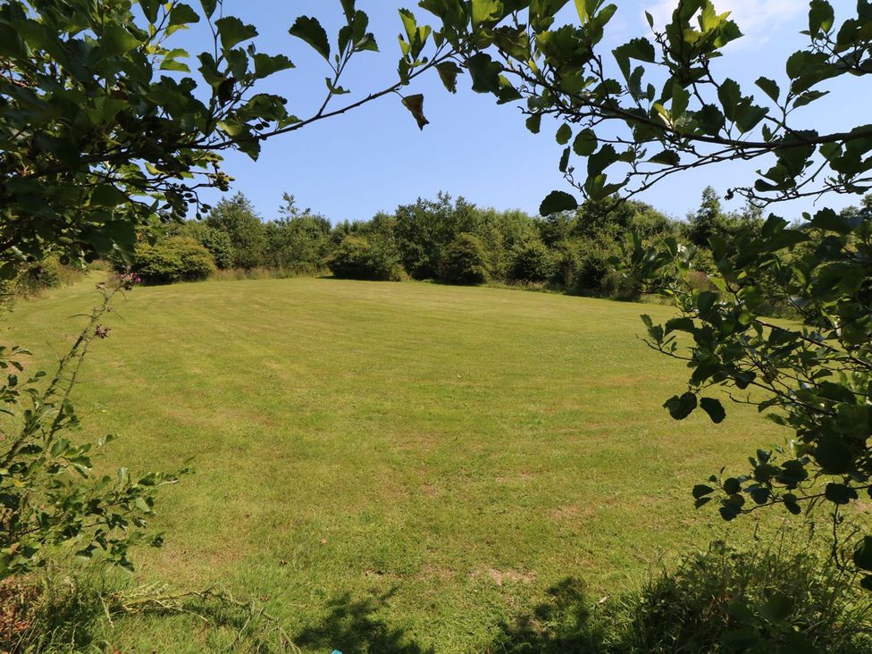 An open grassy area surrounded by trees at Elm Cottage in Truro