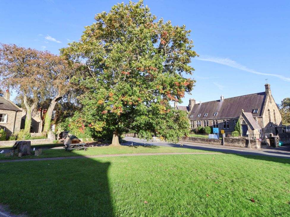 A view of a tree and building in a park at Winksey Cottage in Harrogate