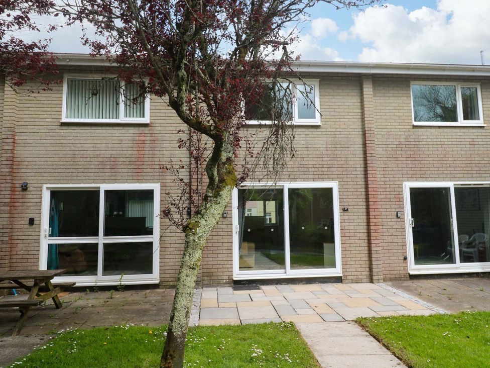 An outdoor area with a tree and patio at 87 Atlantic Reach Newquay