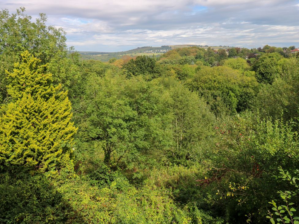 A view of trees and hills at Nabwood views