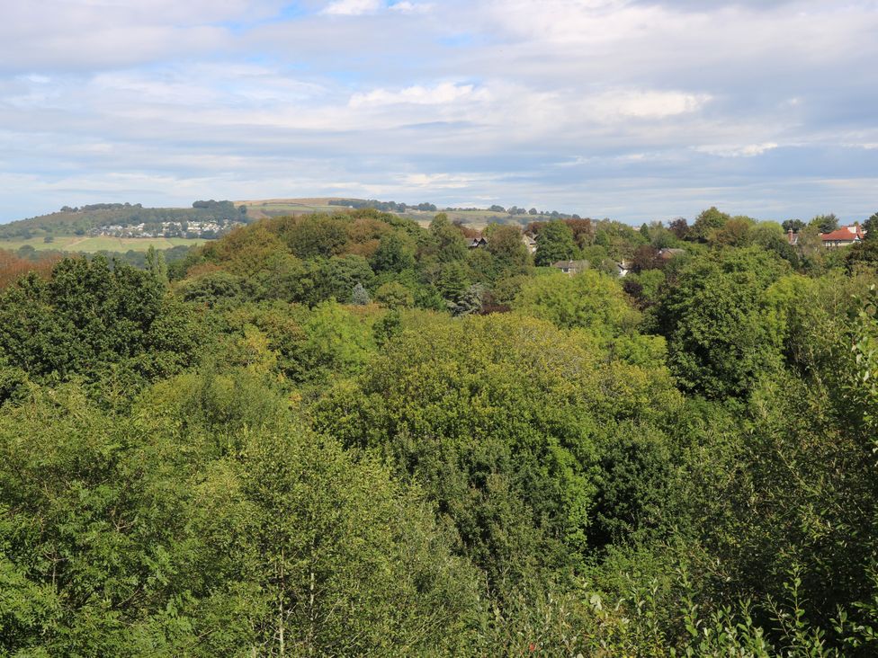 A view of trees and hills at Nabwood views