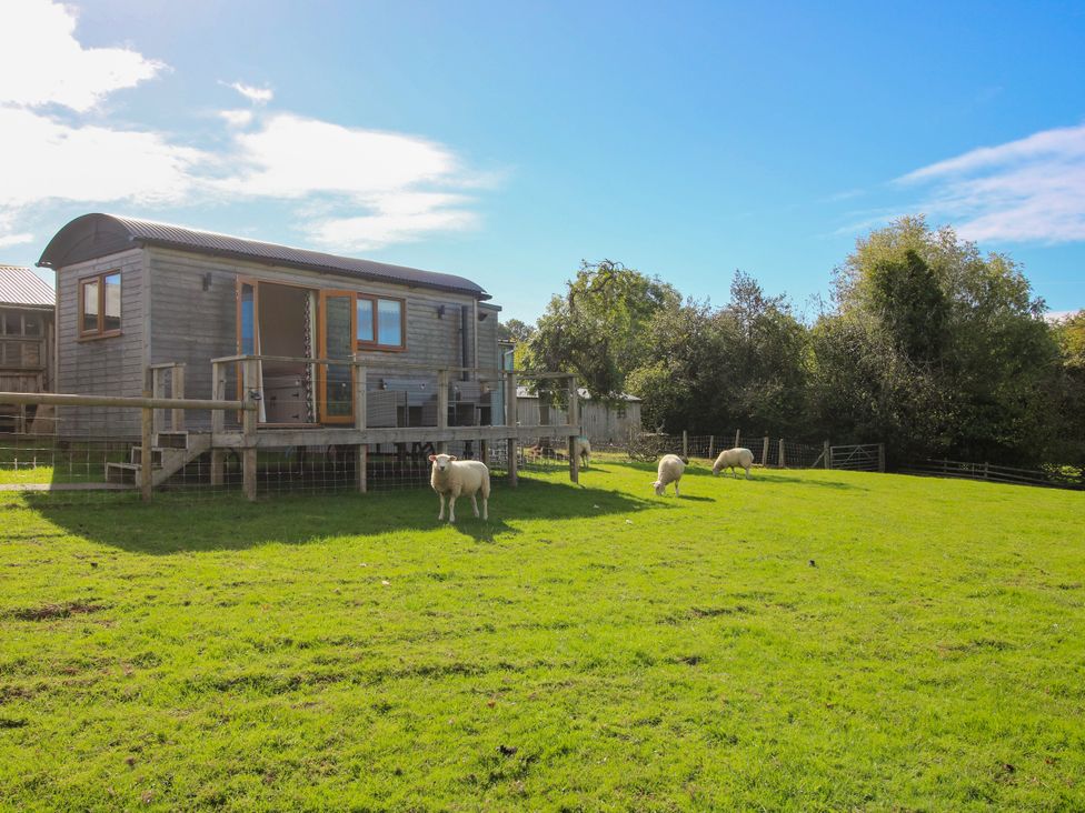 An outdoor area with sheep grazing near a wooden structure at Hideaway Hut at Hopton Court Estate Hopton Wafers near Cleobury Mortimer