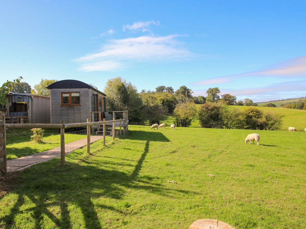 A hut with a fence and sheep grazing in the field at Hideaway Hut at Hopton Court Estate Hopton Wafers near Cleobury Mortimer
