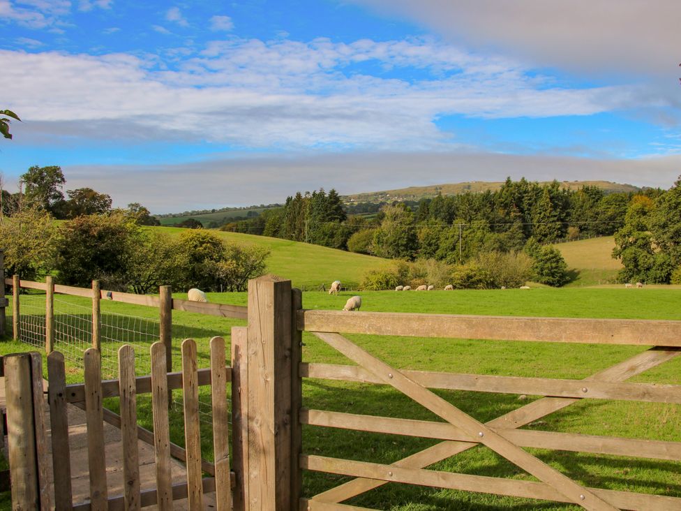 An outdoor scene with a gate and sheep in the field at Hideaway Hut at Hopton Court Estate near Cleobury Mortimer