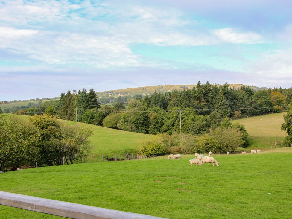 An outdoor view with sheep grazing in fields at Hideaway Hut at Hopton Court Estate Hopton Wafers near Cleobury Mortimer