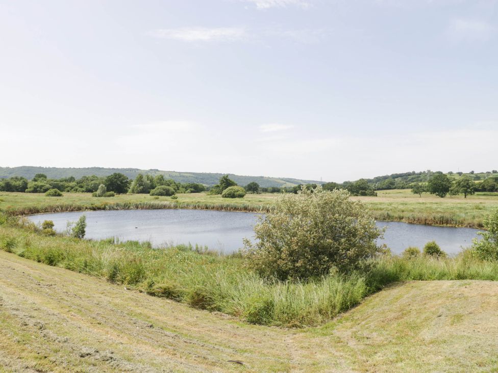 A pond surrounded by grass and trees at Herriotts Bridge Cottage in Bristol