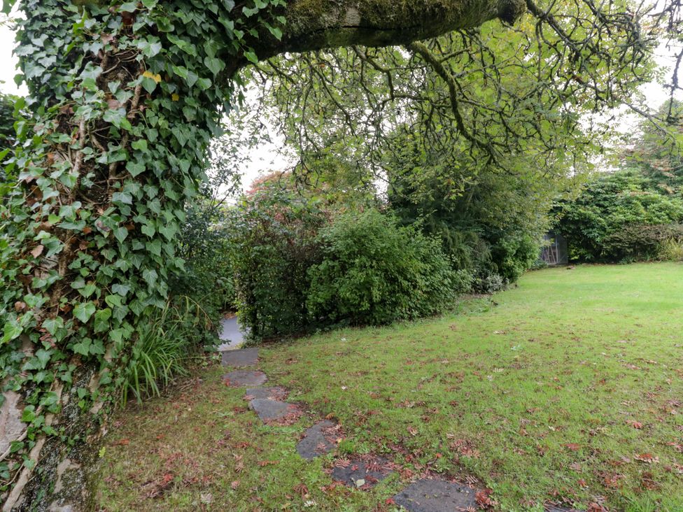 A garden with a tree, ivy, pathway, and bushes at 10 Rayrigg Rise Bowness-On-Windermere