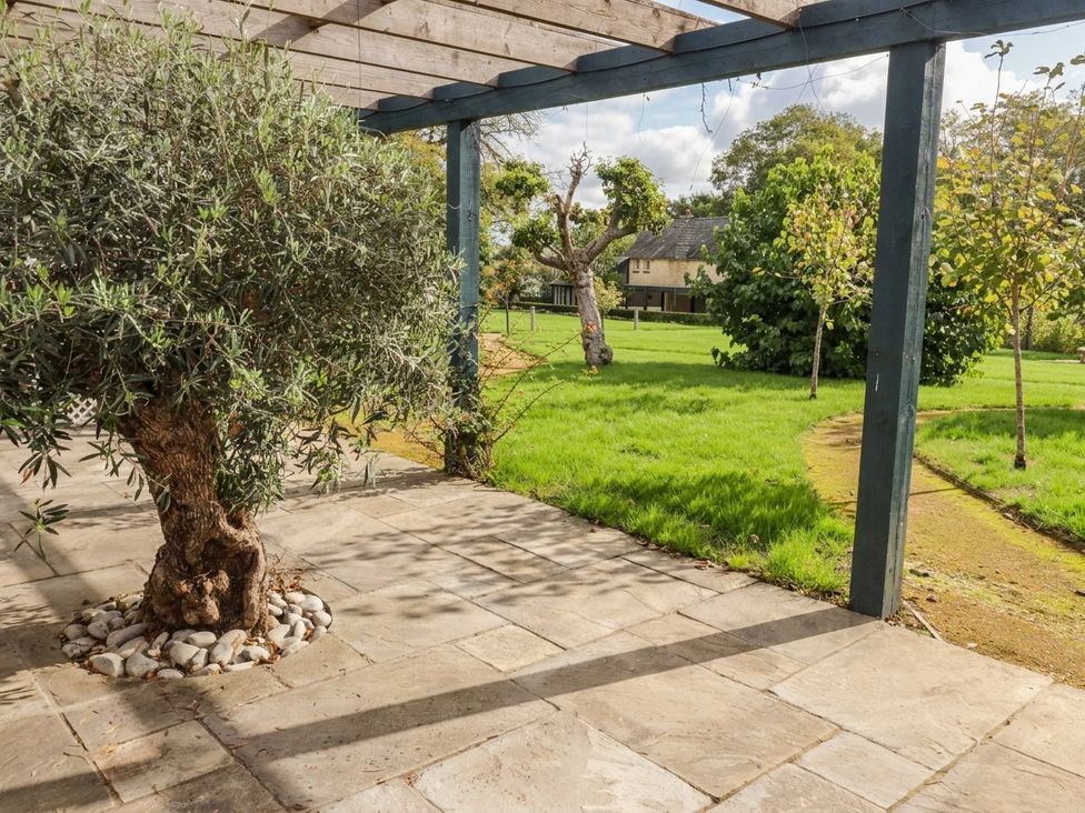An outdoor area with an olive tree and patio at The Bakery Hotel Room Gileston near St Athan