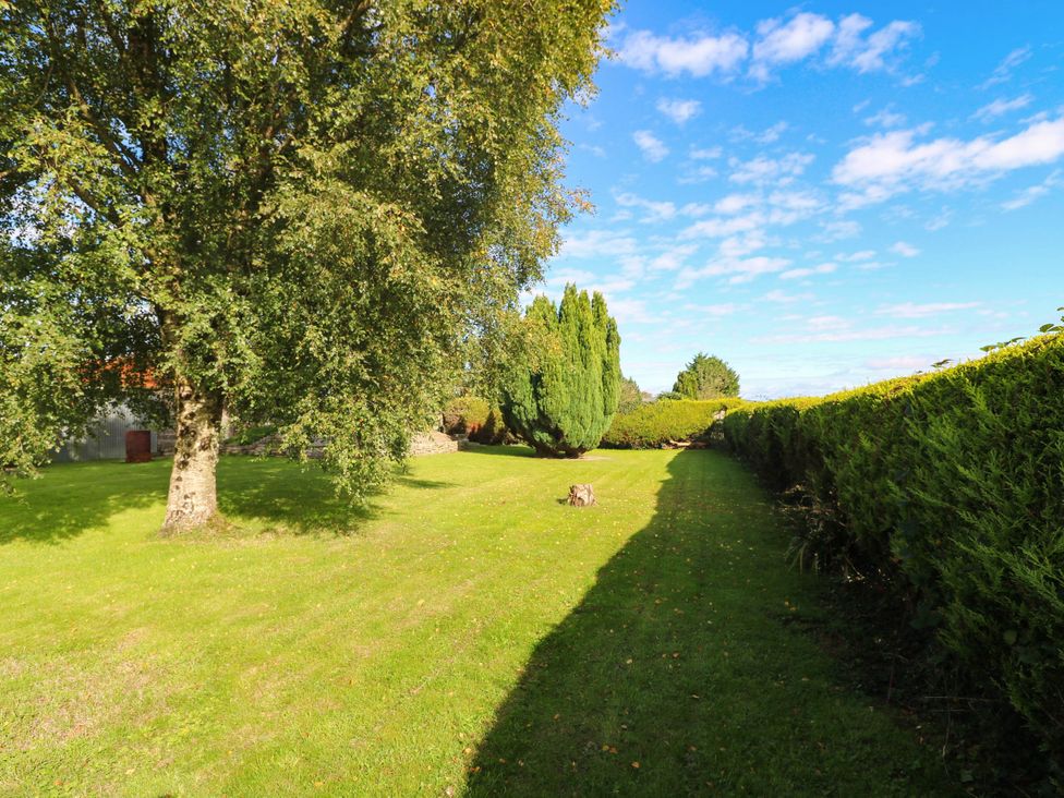 A garden with trees and a hedge at Kate’s in Daingean