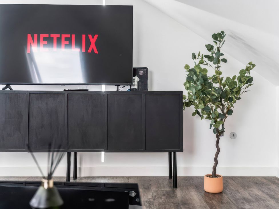 A living room with a television and a plant in a pot at Flat 6, Hilltop Court in Uxbridge
