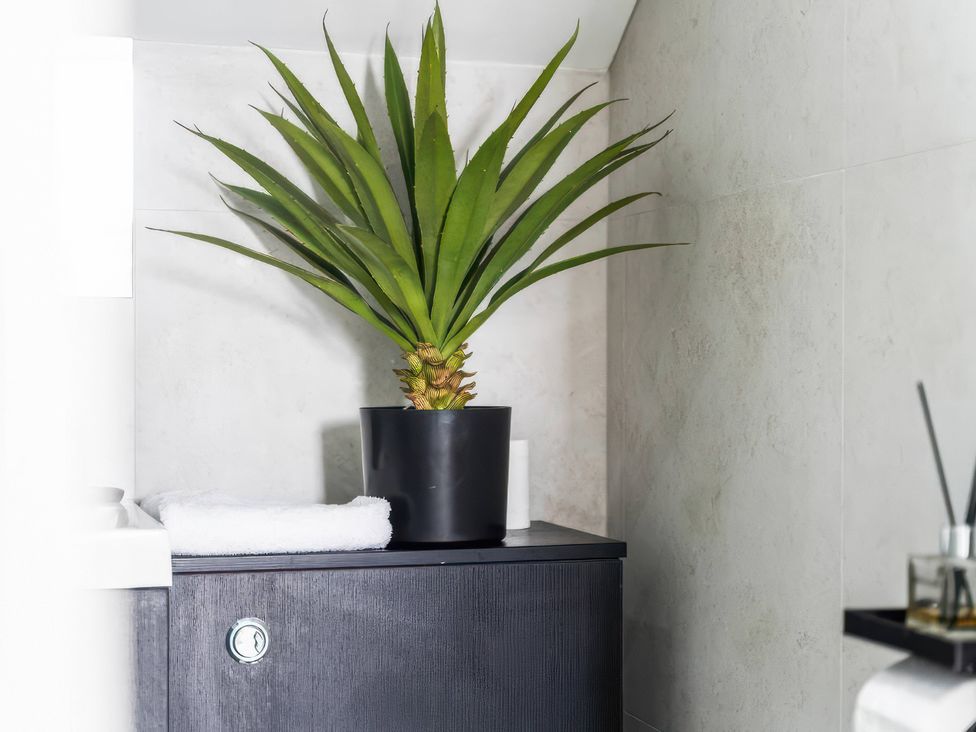 A plant on a cabinet with a towel in a bathroom at Flat 6, Hilltop Court Uxbridge